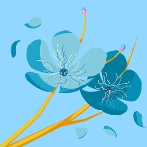 Meet your Posher, Jane